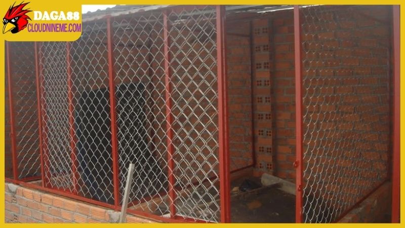 Kỹ thuật nuôi gà chọi thông qua việc xây chuồng trại